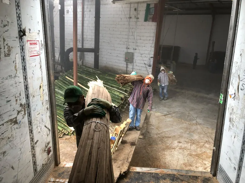 Manojos de estacas de bambú que se cargan en un camión